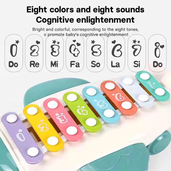 MUSICAL INSTRUMENTS XYLOPHONE