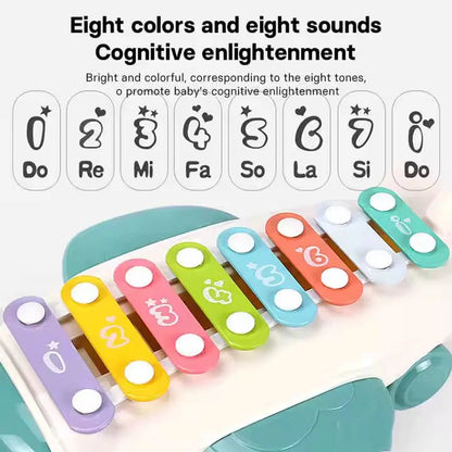 MUSICAL INSTRUMENTS XYLOPHONE