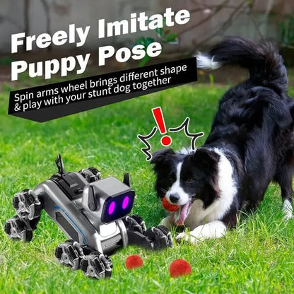 STUNT ROBOT DOG